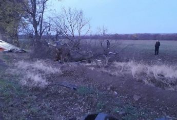 мотри самое гор¤чее порно зрелые сраки крупным планом бесплатно - OyOh Верка Сердючка: «Моя любовь тобi до сраки!»